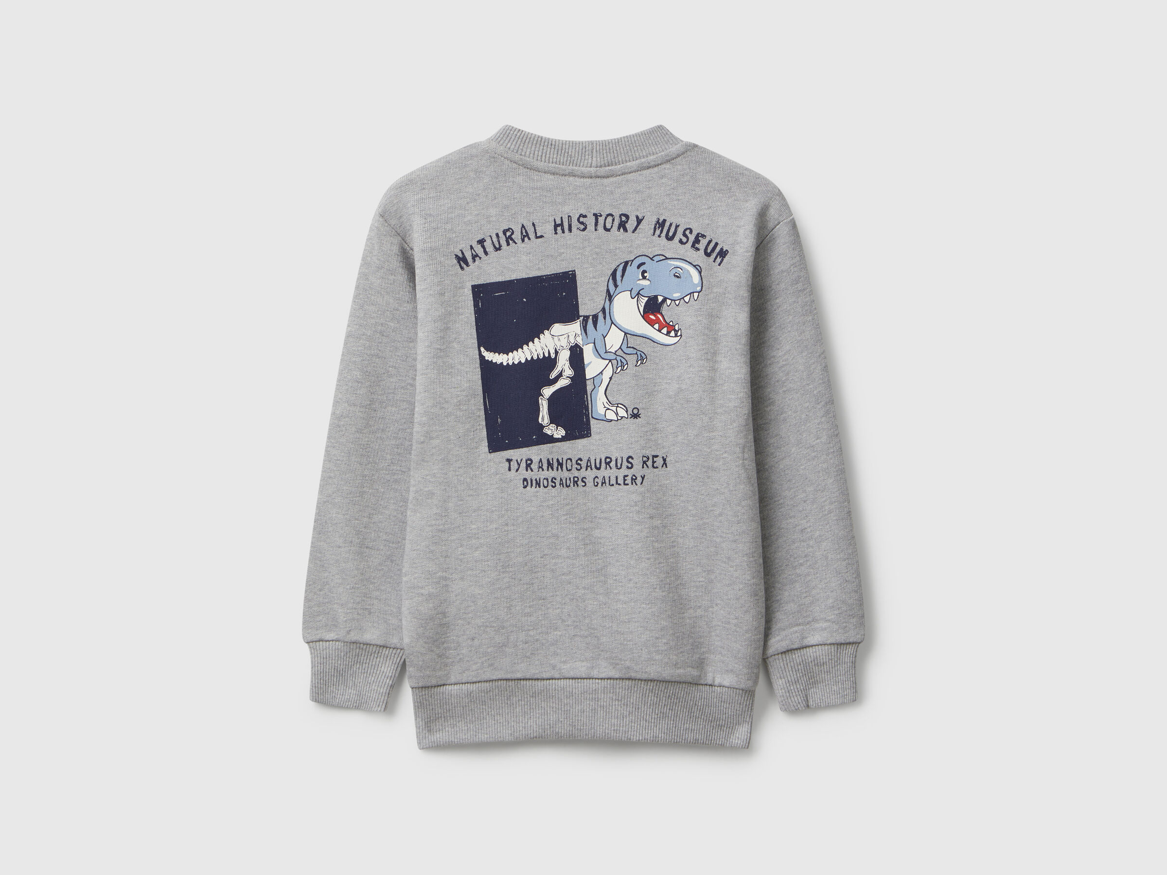 SWEATER L/S Junior Boy image number 2